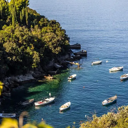 Villa Peaceful Palma With A Pool In Dubrovnik Gruda